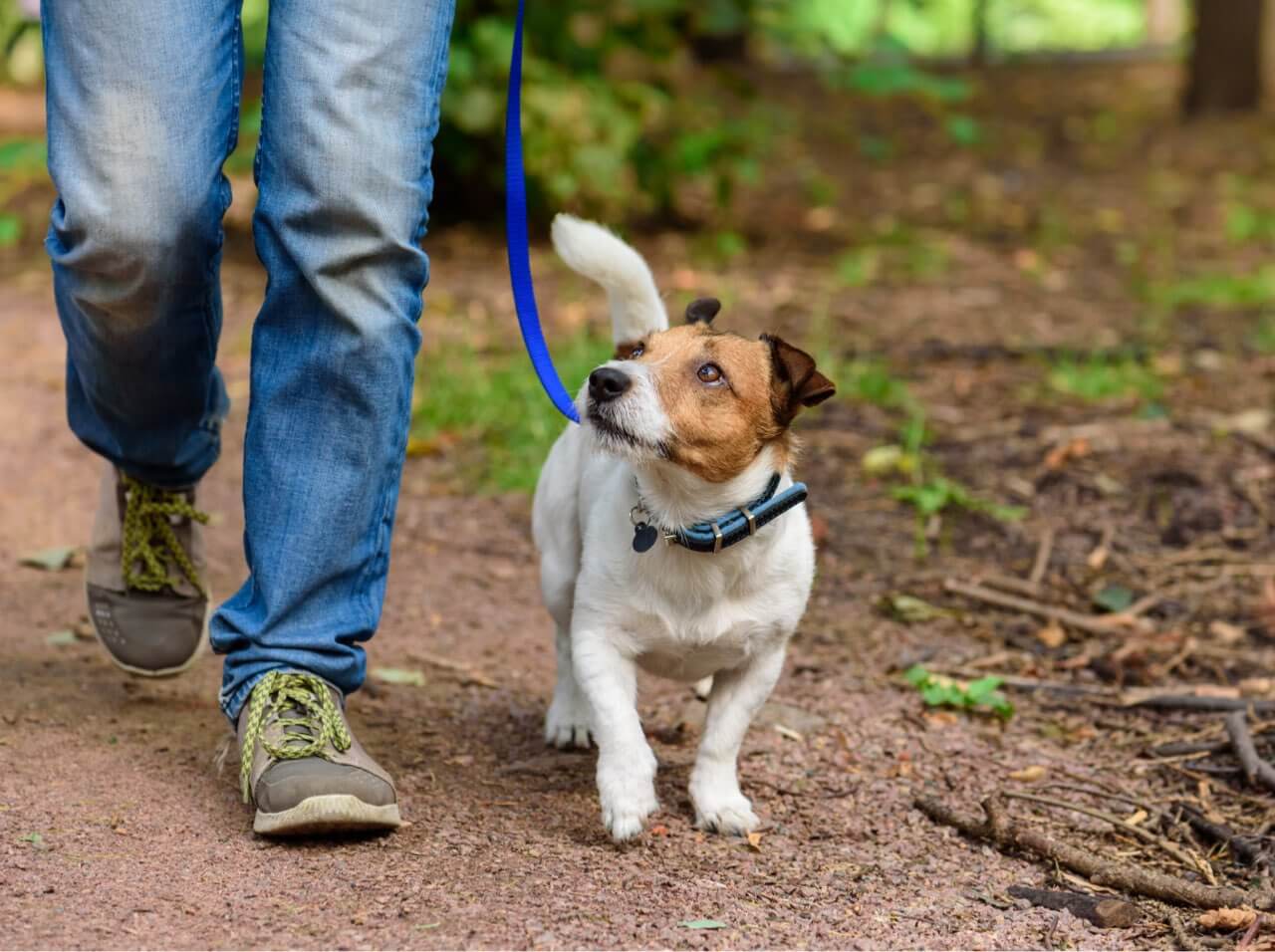 Walking