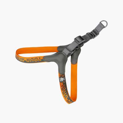 Dog Harness-Orange